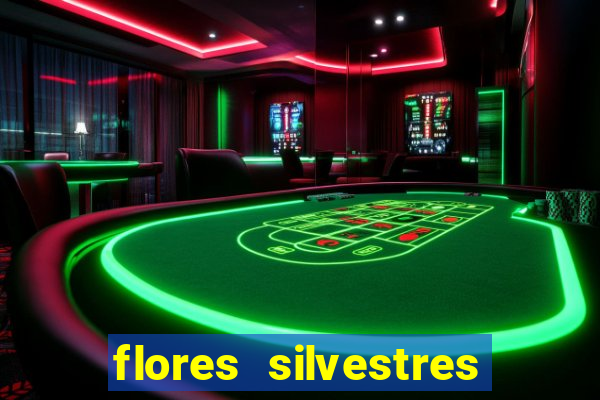 flores silvestres desbravadores desbravadores 25 flores silvestres e seus nomes